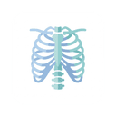 تقارير الأشعة